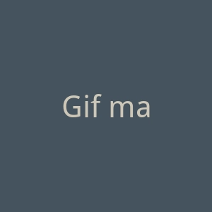 Gif make官网