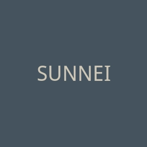 SUNNEI官网