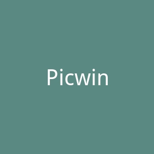 Picwing官网