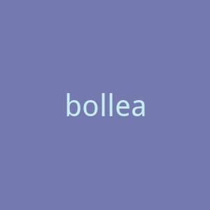 bollea官网