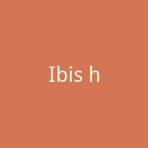 Ibis hotel官网