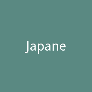 Japanese Streets官网