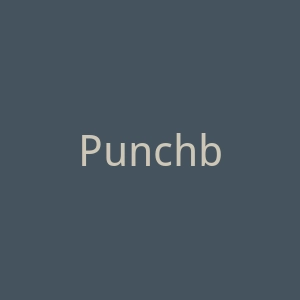 Punchbowl官网