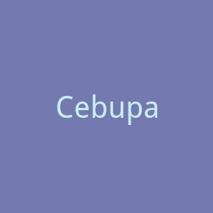 Cebupacificair官网