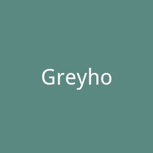 Greyhound官网