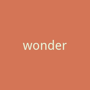 wonderopolis官网