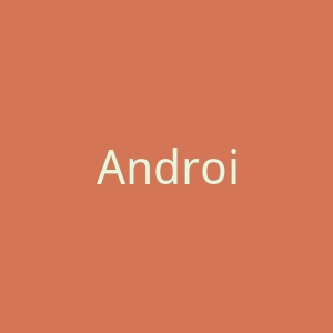 AndroidZoom官网