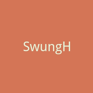 SwungHouse官网