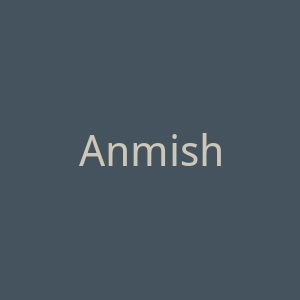 Anmish官网