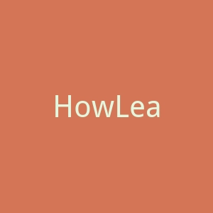 HowLean官网