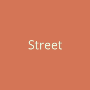 StreetviOlence官网