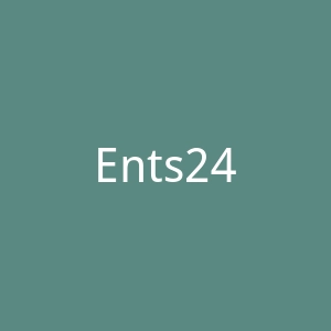 Ents24官网