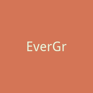 EverGram官网