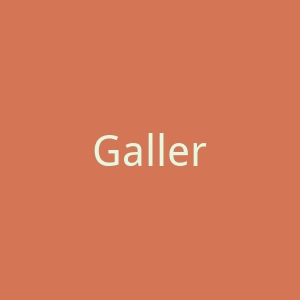 GalleryForEveryone官网