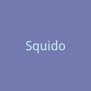 Squidoo官网