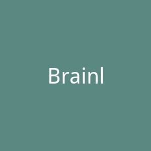 Brainly官网