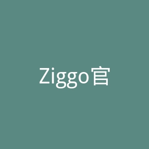Ziggo官网