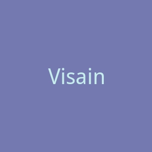 Visainchina官网