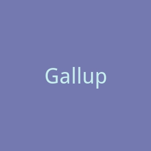 Gallup官网