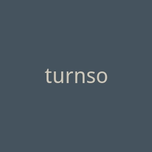 turnsocial官网