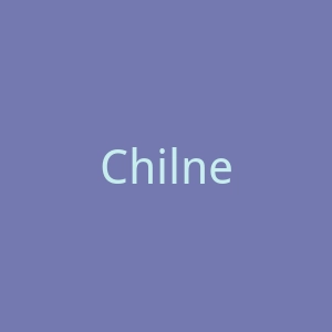 Chilnet官网