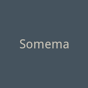 Somema.pt官网