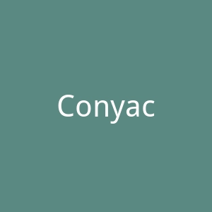 Conyac官网