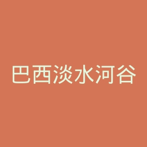 巴西淡水河谷公司官网