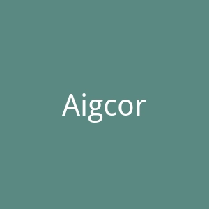 Aigcorporate官网