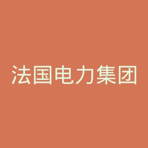 法国电力集团官网