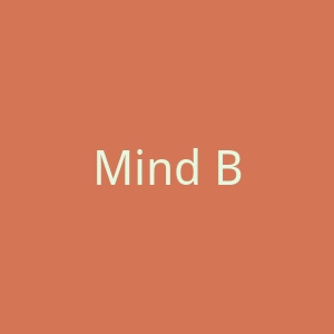 Mind Bridge官网