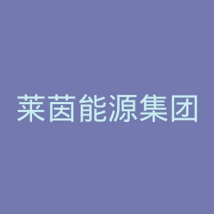 莱茵能源集团官网