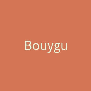 Bouygues官网