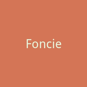 Fonciere官网