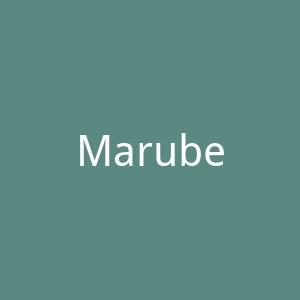 Marubeni官网
