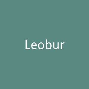 Leoburnett官网