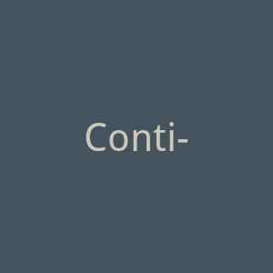 Conti-online官网