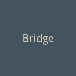 Bridgestone官网