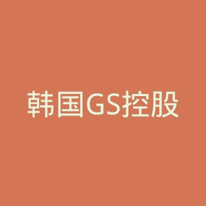 韩国GS控股集团官网