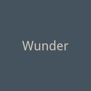 Wunderkinder官网