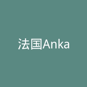 法国Ankama游戏公司官网