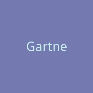 Gartner官网