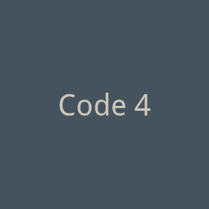 Code 42官网