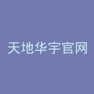 天地华宇官网