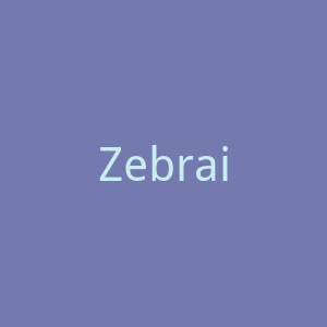 ZebraiMaging官网