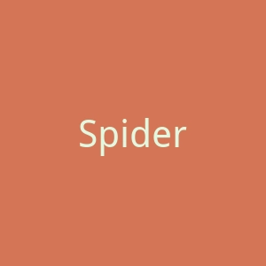 SpiderCloud官网