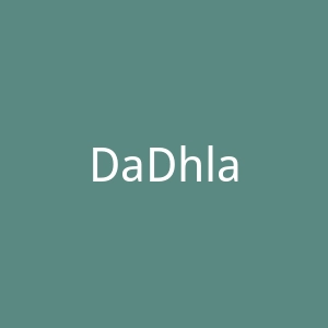 DaDhlane官网