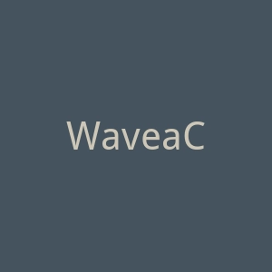 WaveaCcounting官网