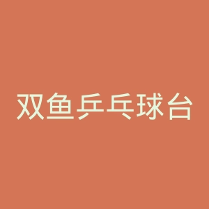 双鱼乒乓球台官网