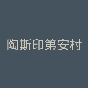 陶斯印第安村官网